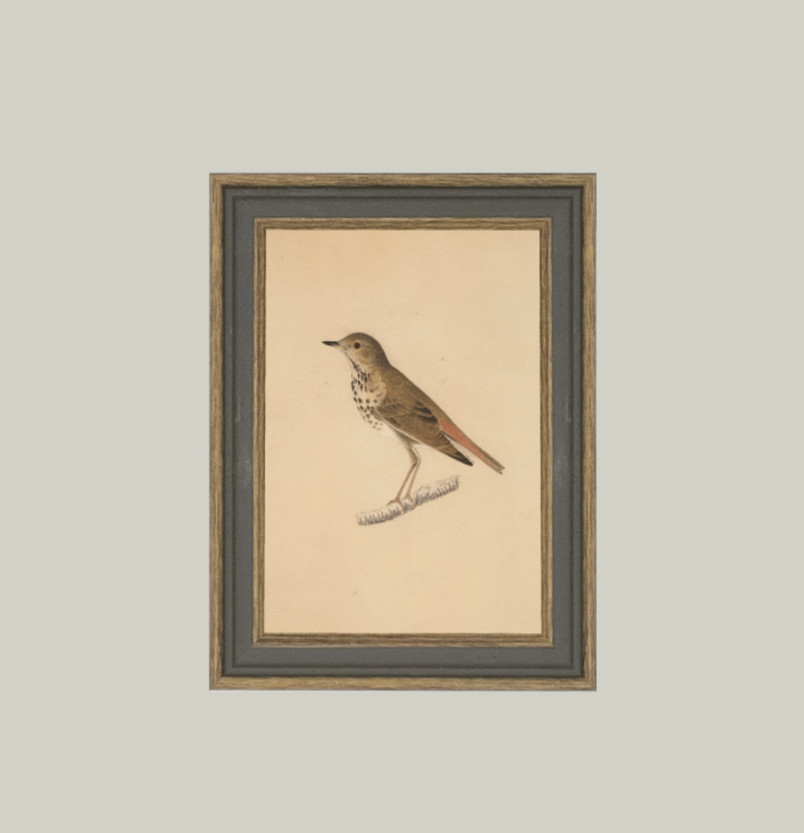 BIRD FRAMED ANTIQUE ART