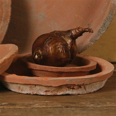 Rustic Terra Cotta Saucer 5 in - Antique Red