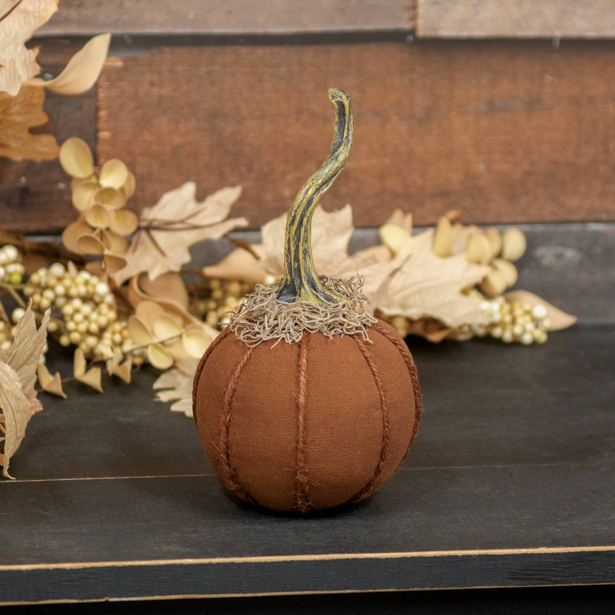 MOSSY TOP PUMPKIN
