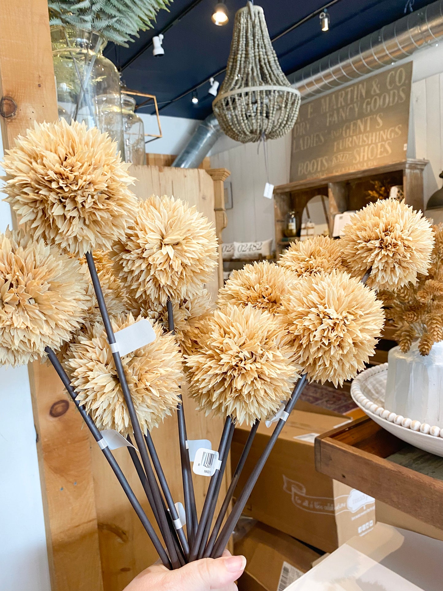 TAN ALLIUM
