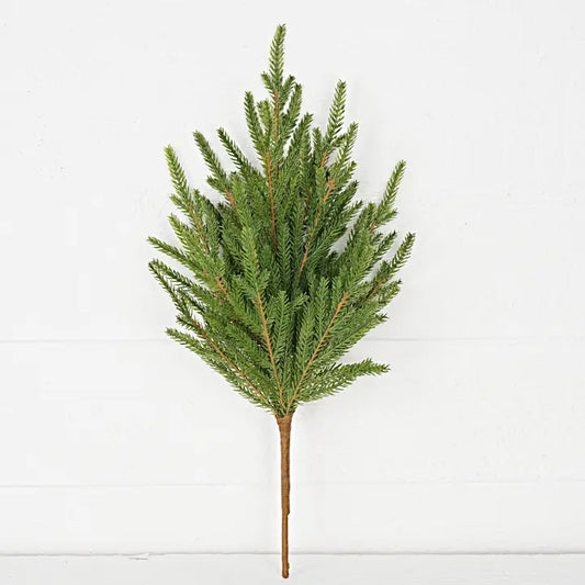 EVERGREEN STEM