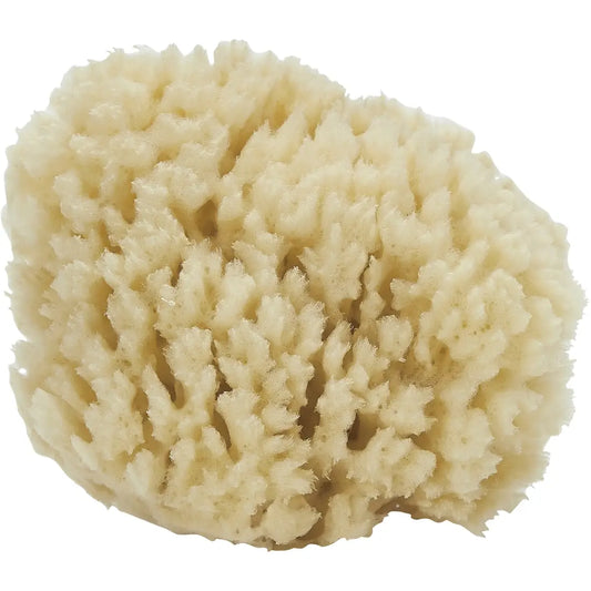 SEA WOOL CUT SPONGE