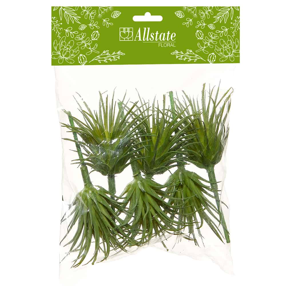 AIR PLANT PICK