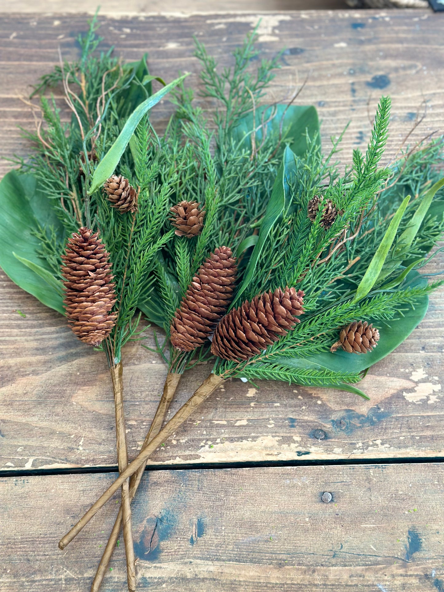 MAGNOLIA PINECONE LEAF