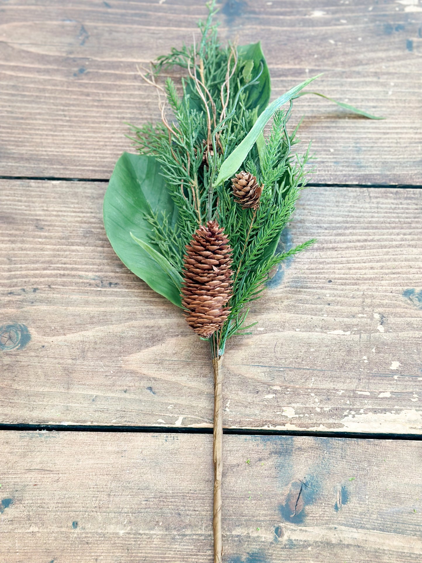 MAGNOLIA PINECONE LEAF