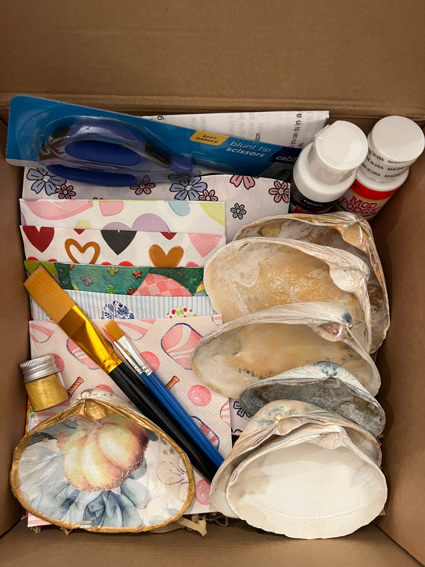 DIY Decoupage Shell Kit