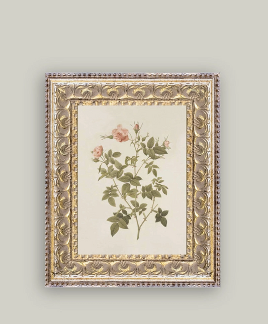 ROSA FRAMED ANTIQUE ART