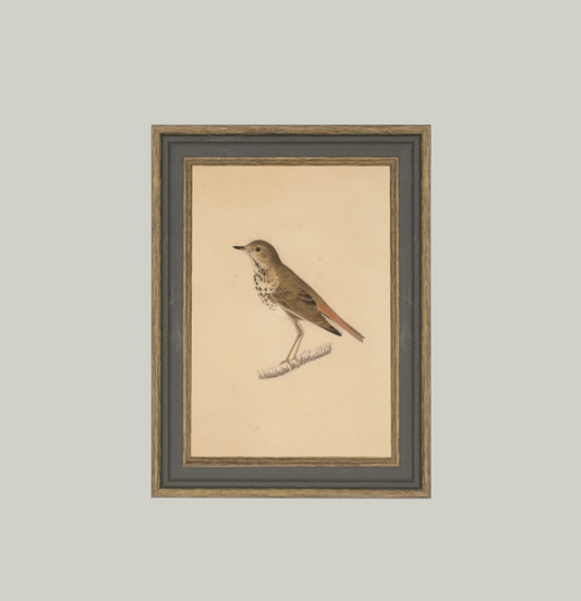 BIRD FRAMED ANTIQUE ART