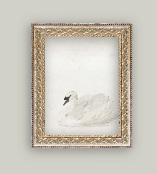 SWAN FRAMED ANTIQUE ART