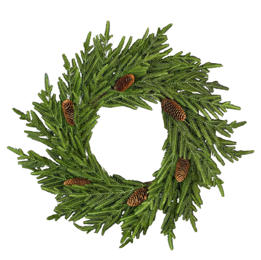 NORFOLK PINE WREATH