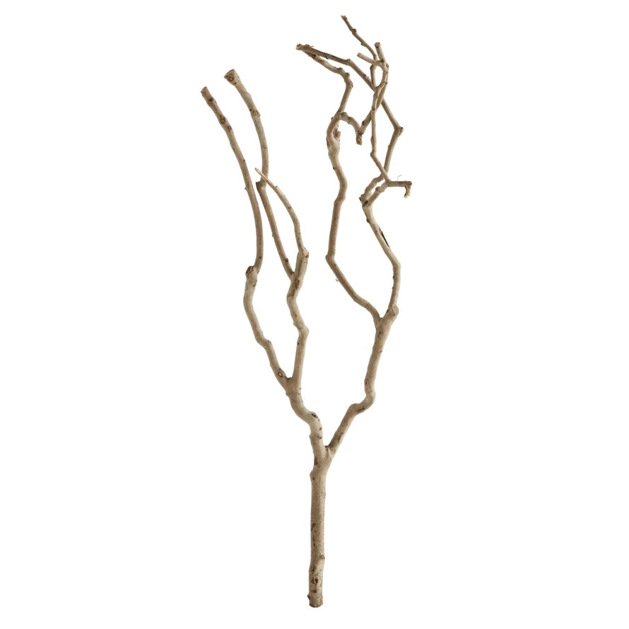 TREE BRANCH