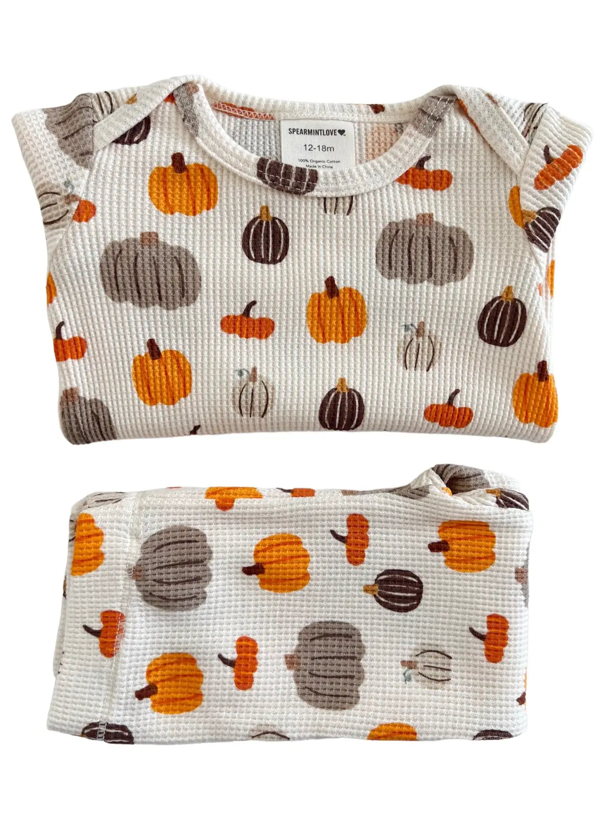 HARVEST PUMPKIN 2 PIECE SET