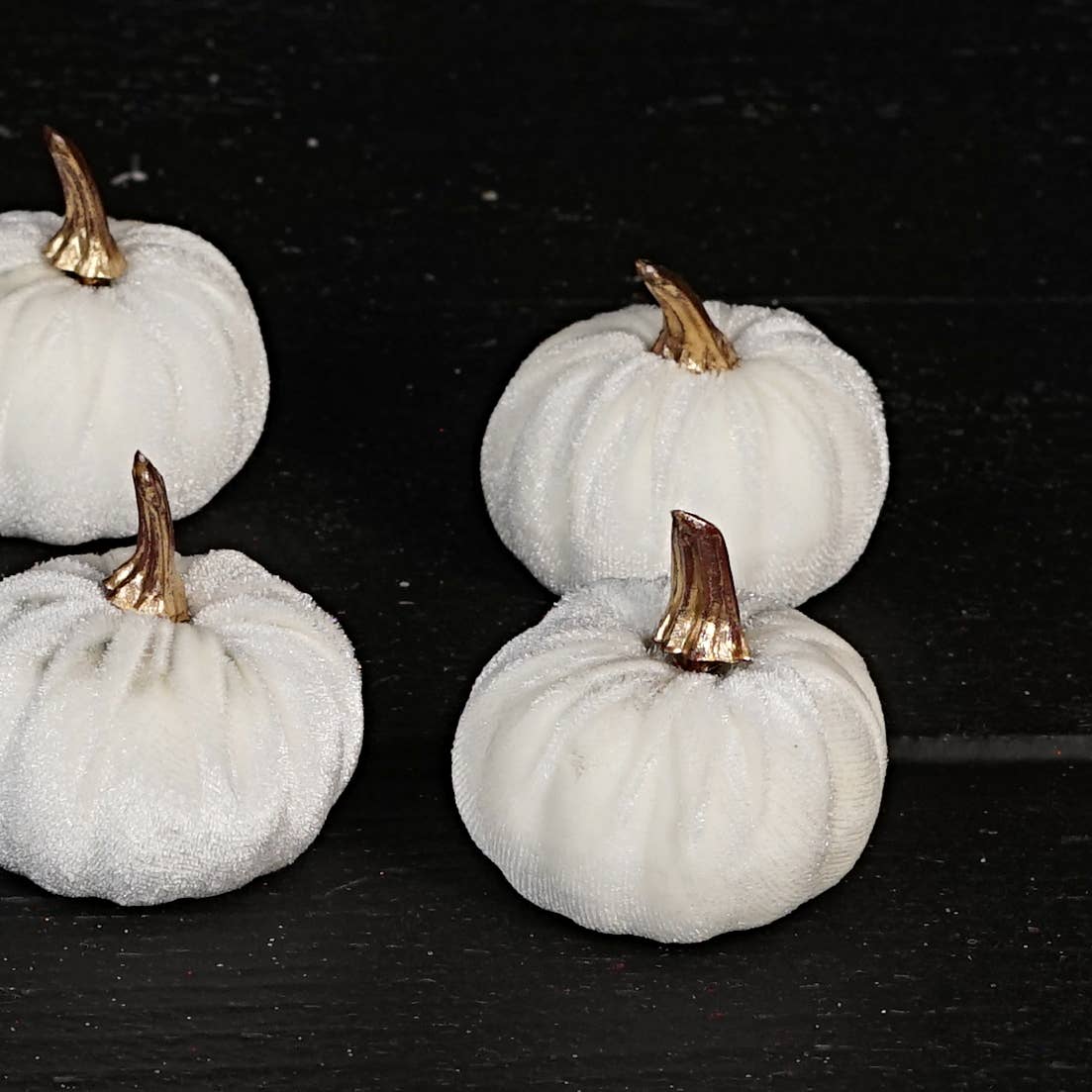 31347-2in pumpkin w.golden stem-Cream