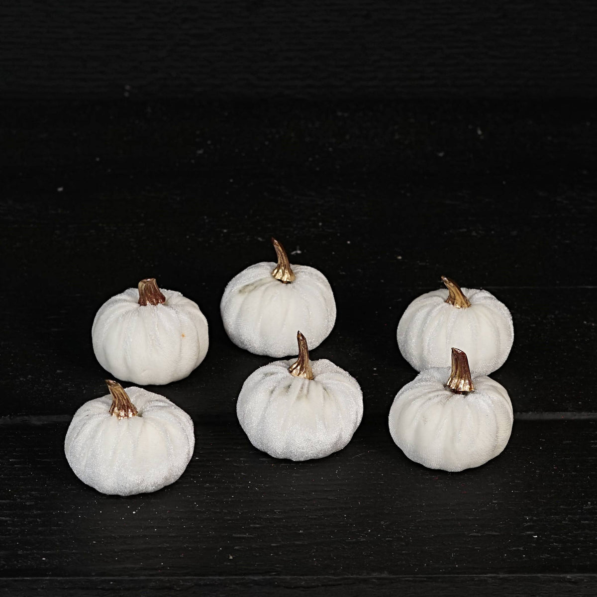 31347-2in pumpkin w.golden stem-Cream