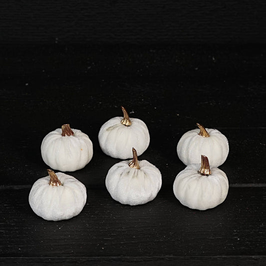 31347-2in pumpkin w.golden stem-Cream