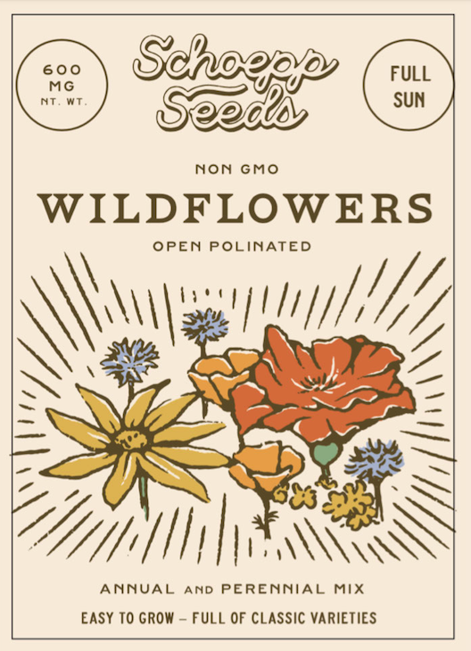 Wildflower, Annual Wildflower Mix Seed Packets
