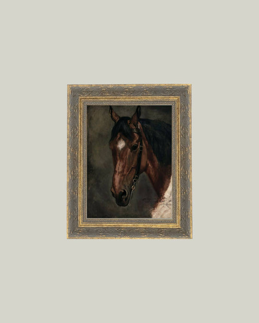 HORSE PORTRAIT FRAMED ART