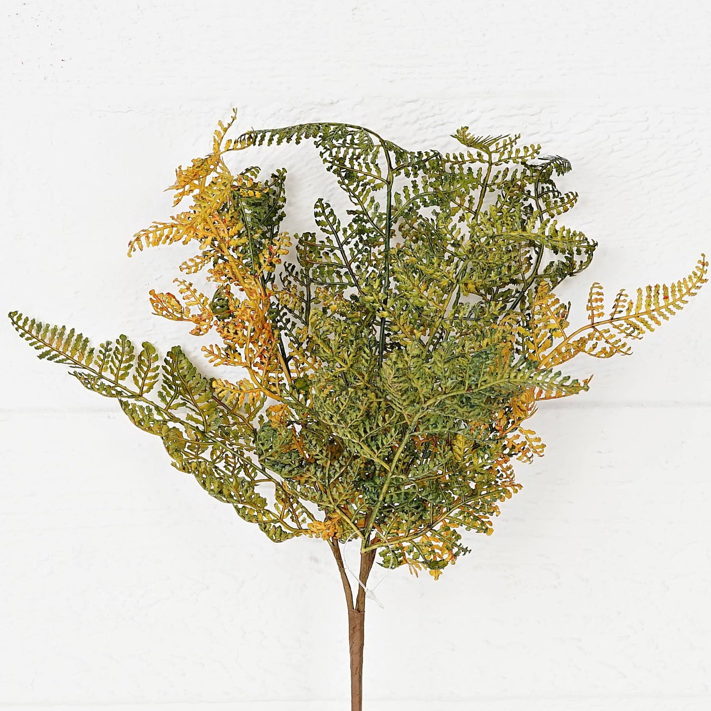 ISB52591-15inL Formosa Fern Bush-Sage color