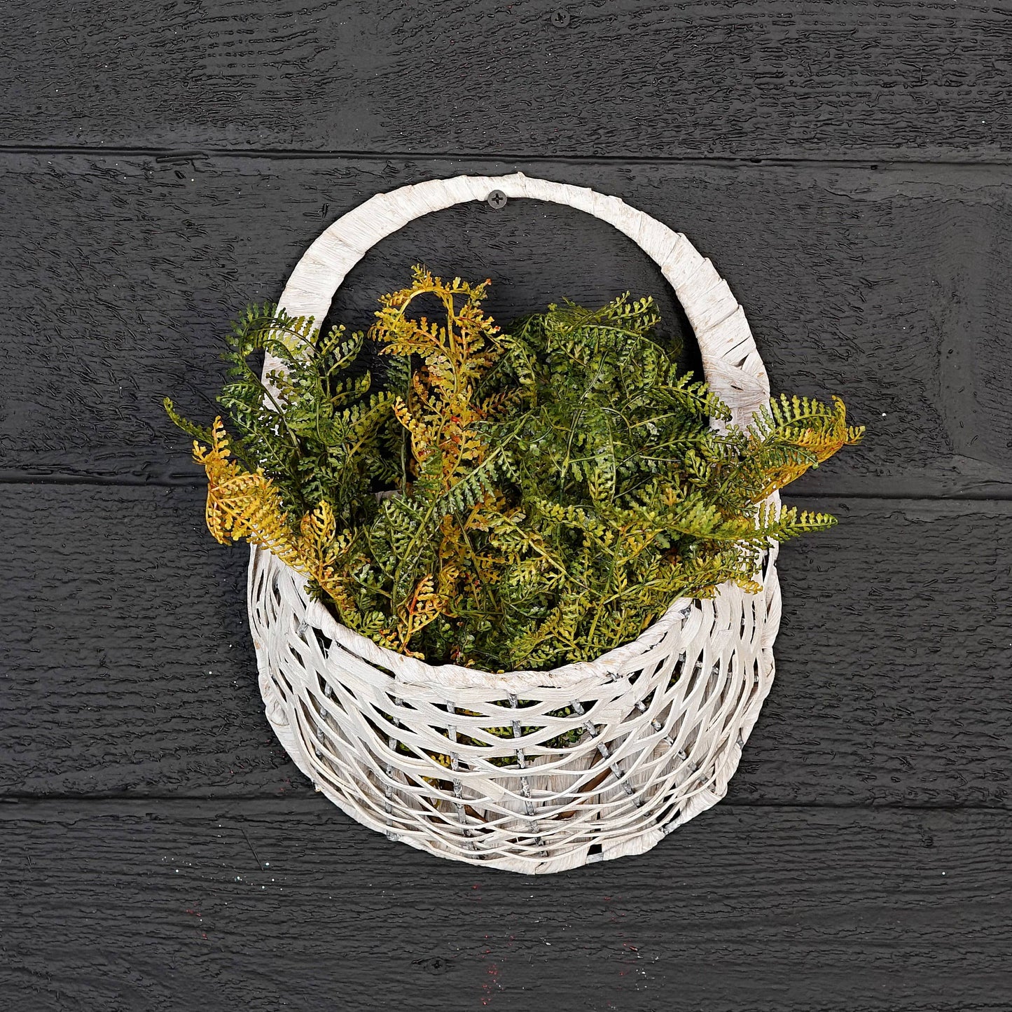 ISB52591-15inL Formosa Fern Bush-Sage color