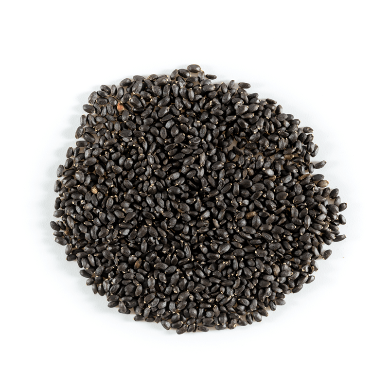 Basil, Genovese Sweet Seed Packets