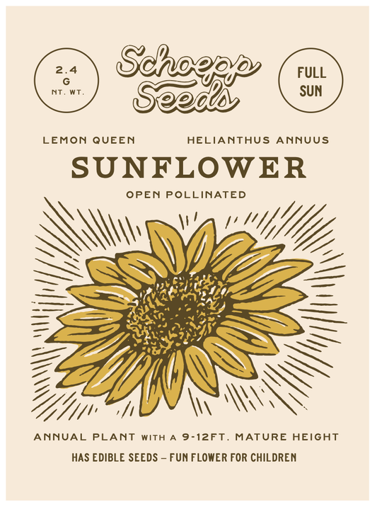 Sunflower, Lemon Queen Seed Packets