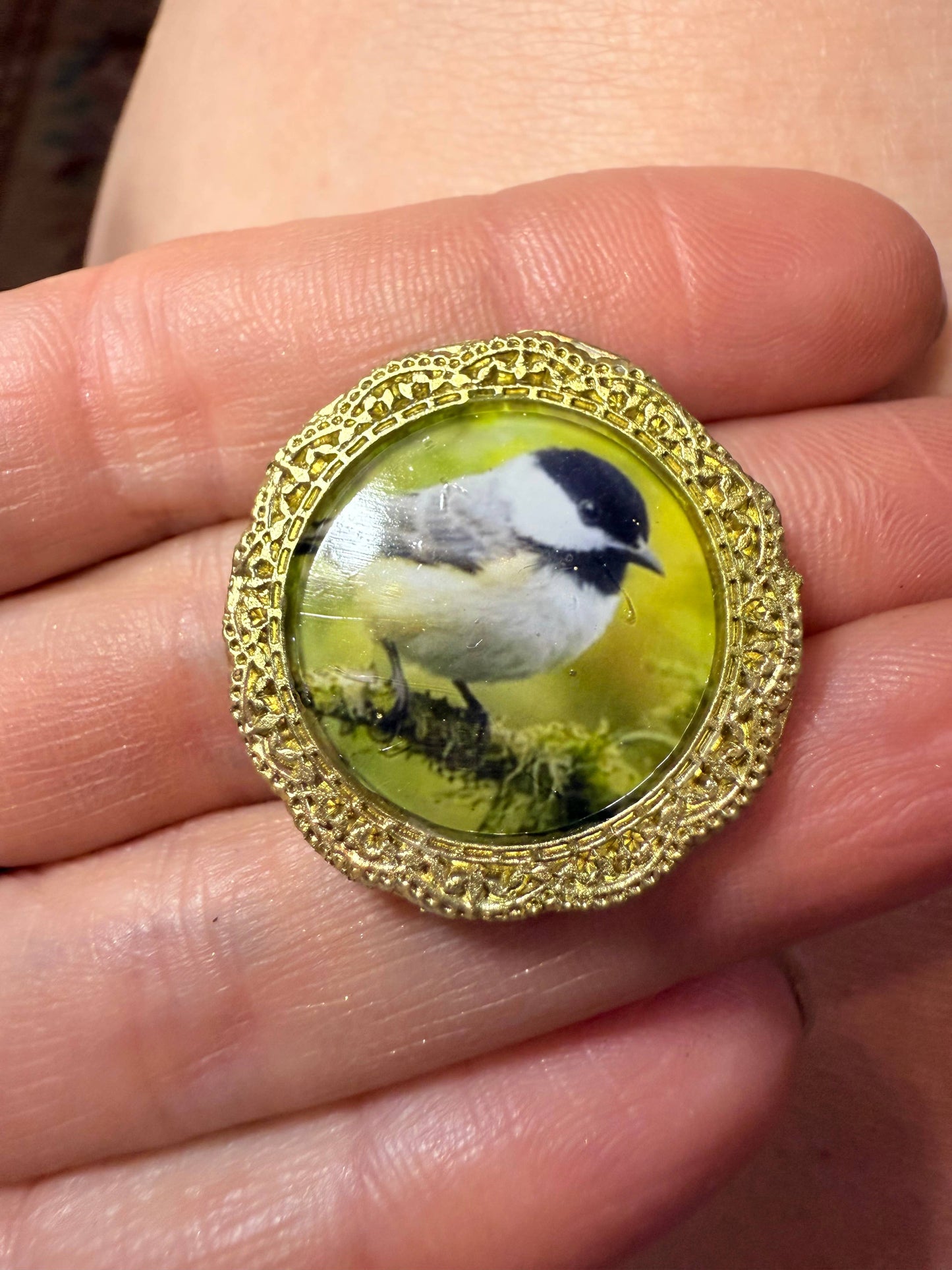 Bird Magnets (Set of 4 each) Bird theme