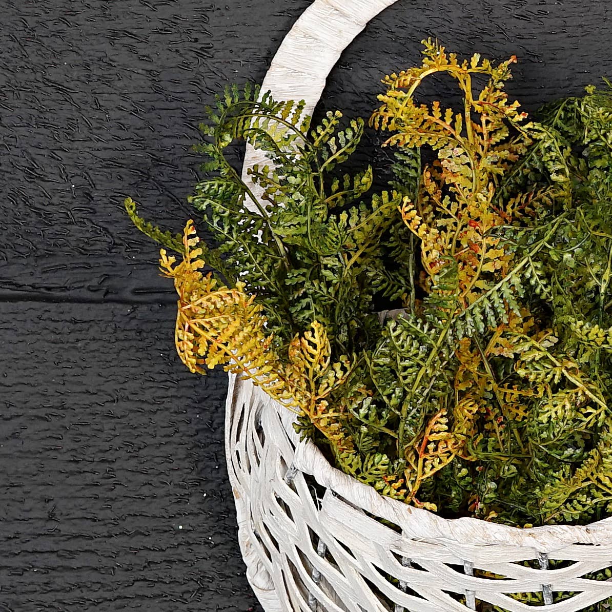 ISB52591-15inL Formosa Fern Bush-Sage color