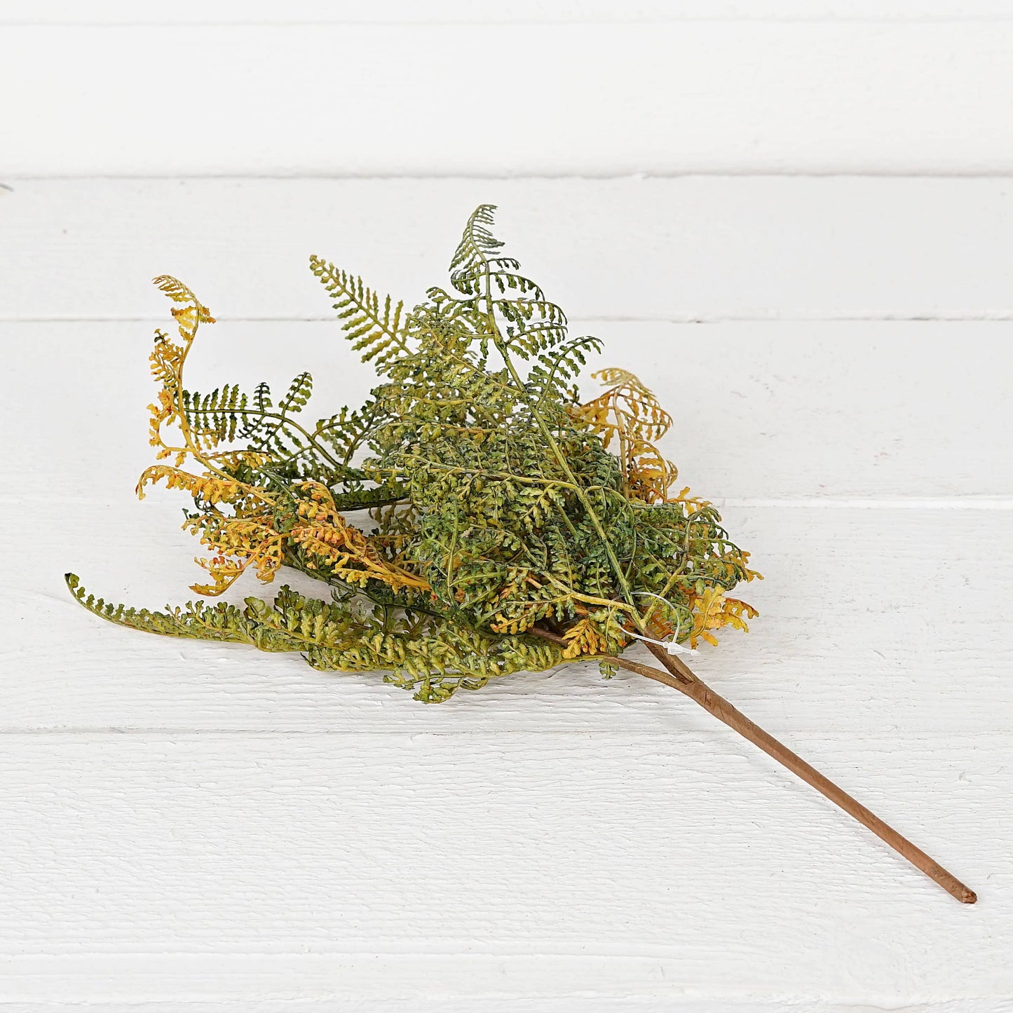 ISB52591-15inL Formosa Fern Bush-Sage color