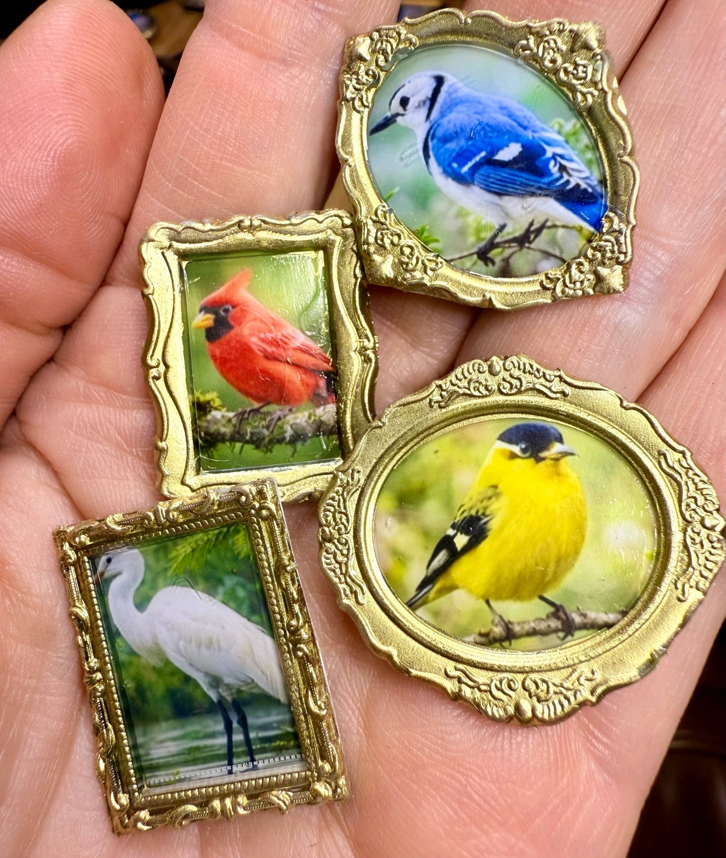 Bird Magnets (Set of 4 each) Bird theme