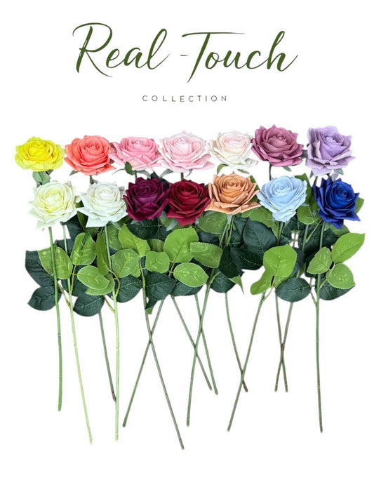 17"Medium bloom rose stem-Moisturized Coating Fresh-Cut Fee