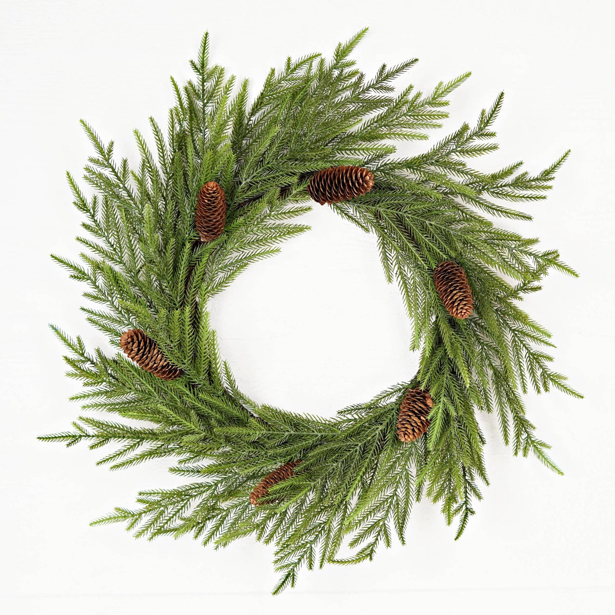 510070- 24in(12)Twig Wreath-Evergreen Norfolk Pine w.Long Pi