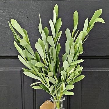 14in Foamy Willow Leaves Bush-green