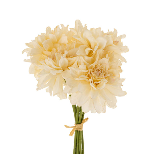 Dahlia Flower Bouquet, Champagne