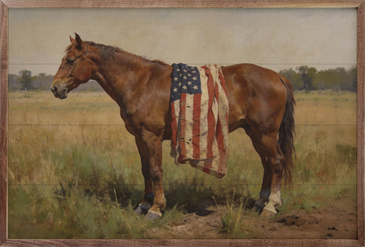 HORSE AMERICAN FLAG PRINT