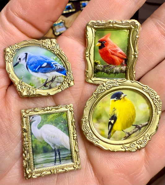BIRD MAGNETS