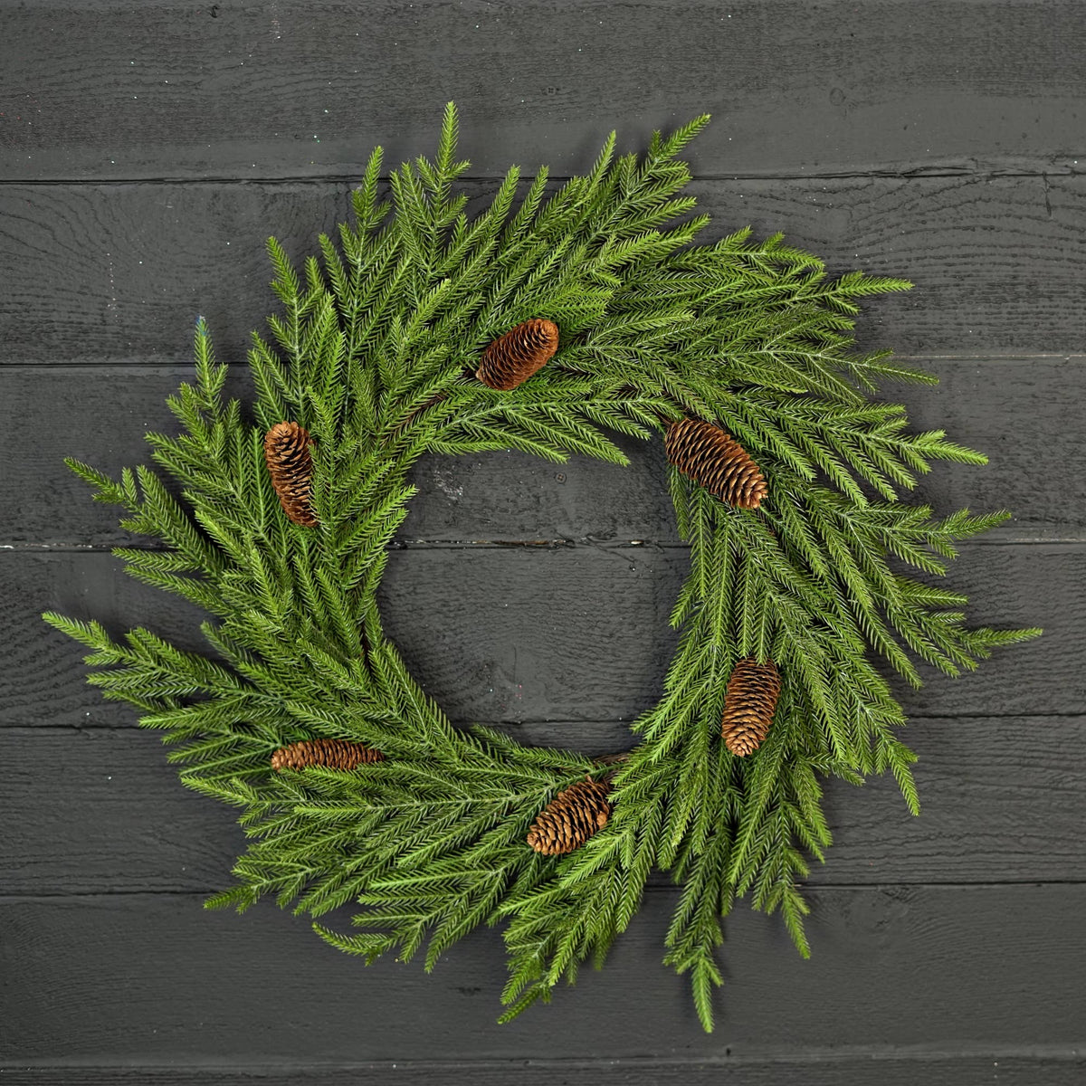 510070- 24in(12)Twig Wreath-Evergreen Norfolk Pine w.Long Pi