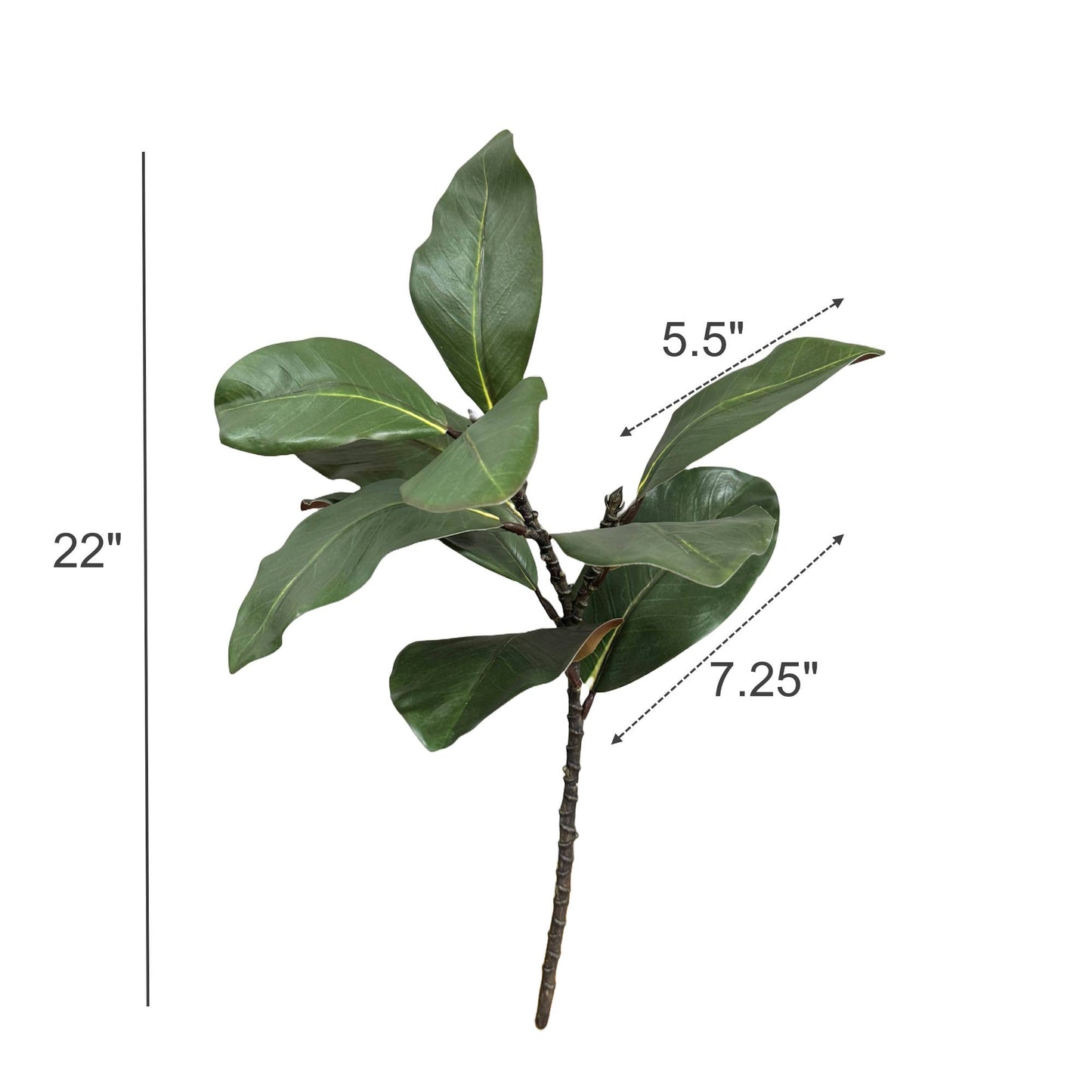 22"Ultra realistic Real Touch Magnolia Stem-10 leaves