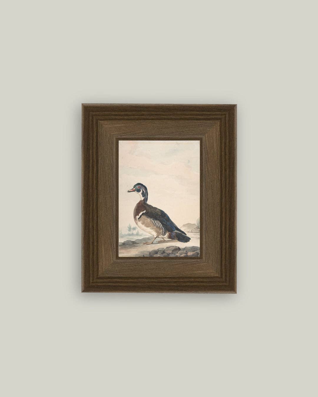 DUCKED FRAMED ART
