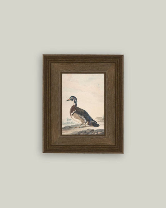 DUCKED FRAMED ART