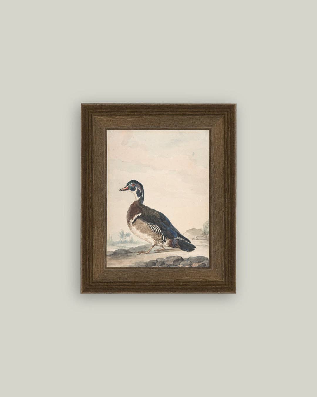 DUCKED FRAMED ART