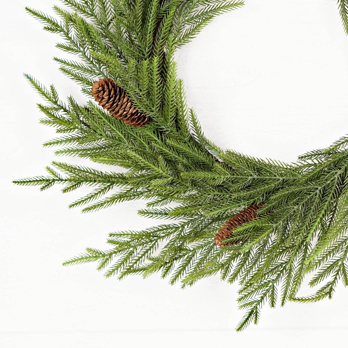 510070- 24in(12)Twig Wreath-Evergreen Norfolk Pine w.Long Pi