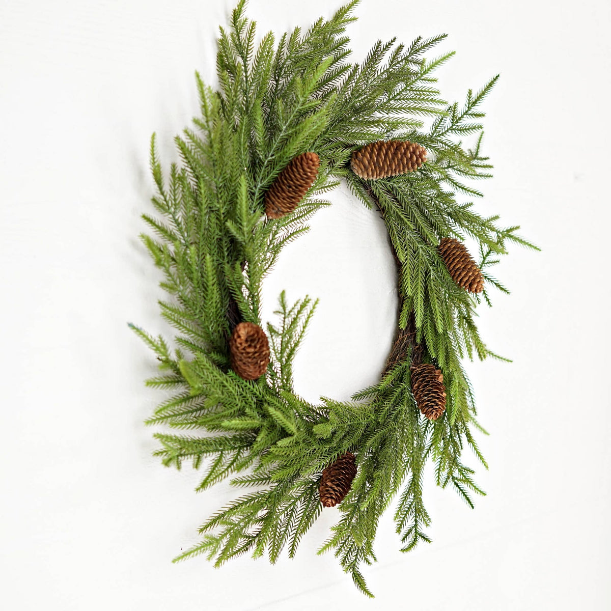510070- 24in(12)Twig Wreath-Evergreen Norfolk Pine w.Long Pi