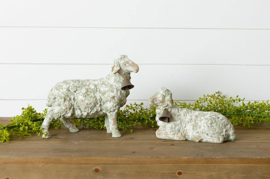 Sheep With Bell Collar