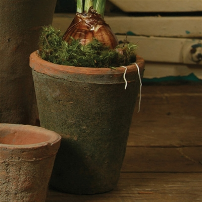 Rustic Terra Cotta Rose Pot - Med - Antique Red