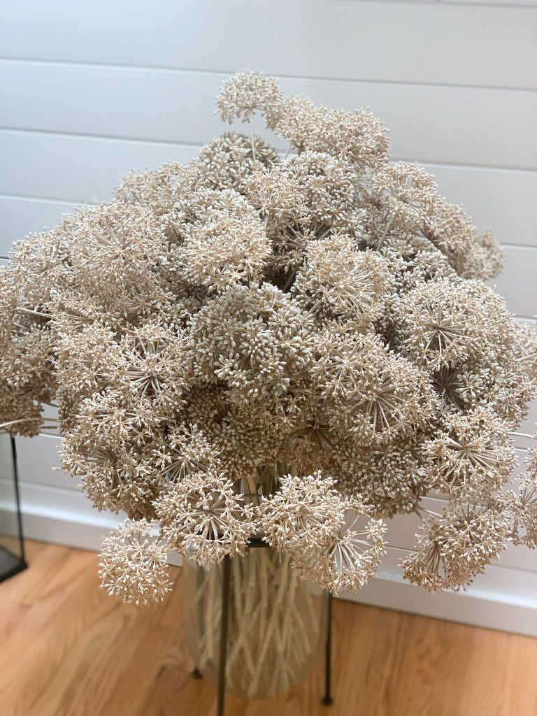 SEED POD SPRAY