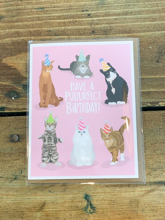 CAT BIRTHDAY CARD