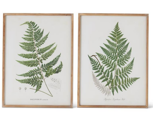 FERN PRINT