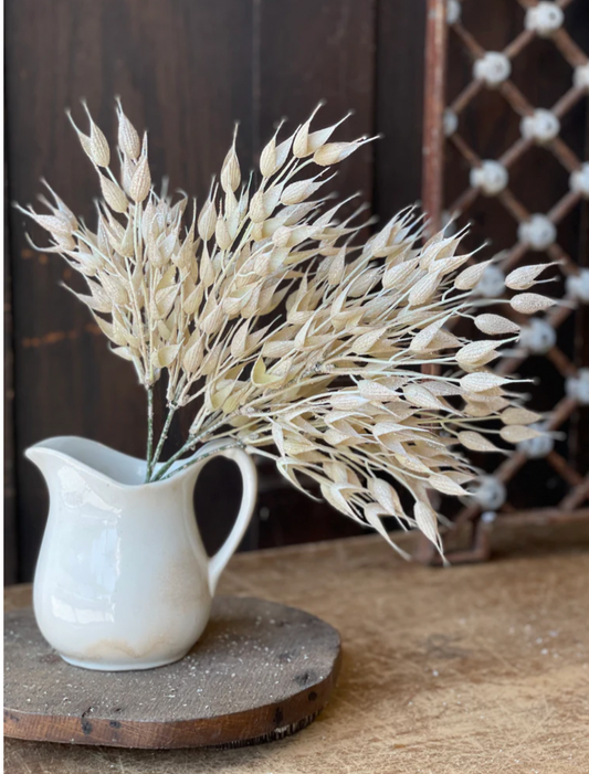 PEARL WHEAT BUSH