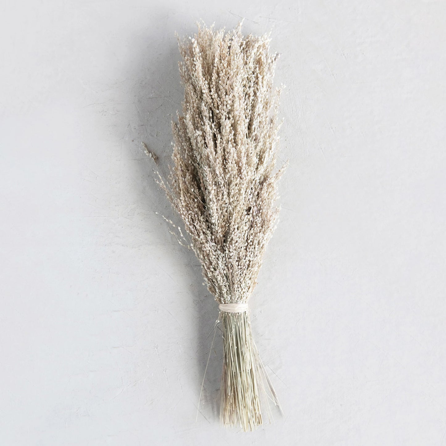 DRIED NATURAL STAR GRASS BUNCH