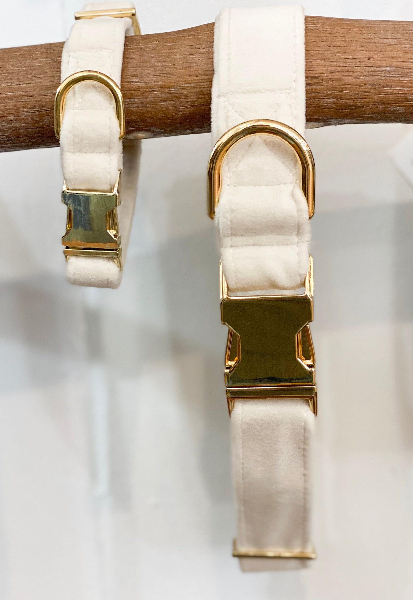 VELVET DOG COLLAR - IVORY